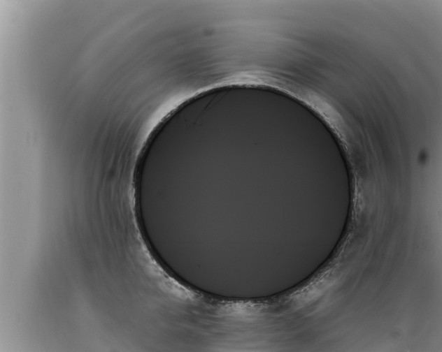 X0000089350950200706221135