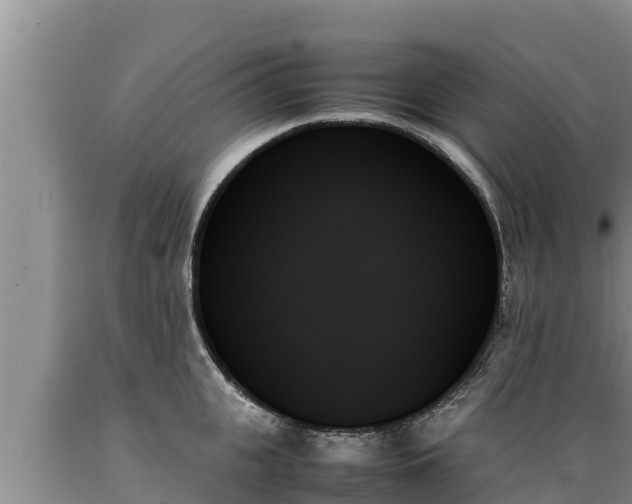 X0000089350951200706221135