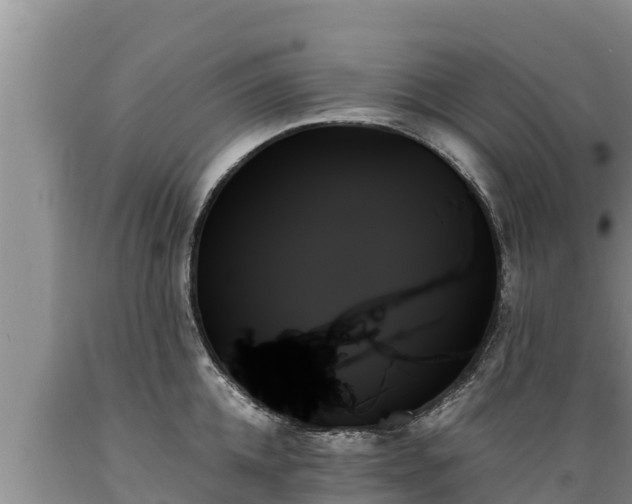 X0000089350952200706221135