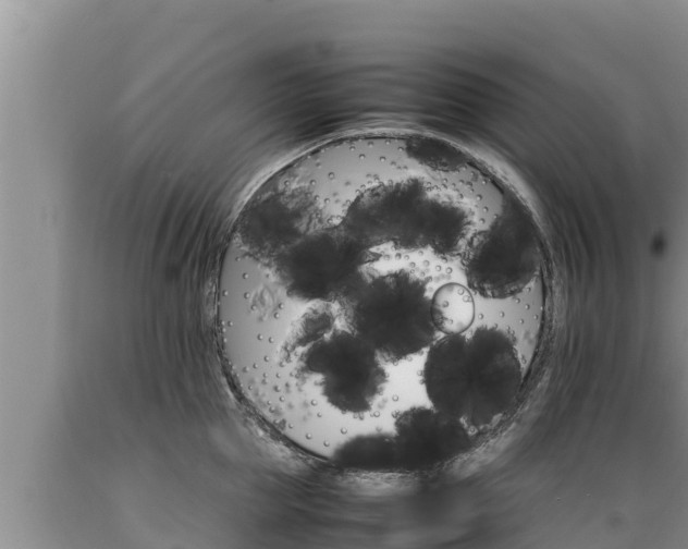 X0000089350953200706221135