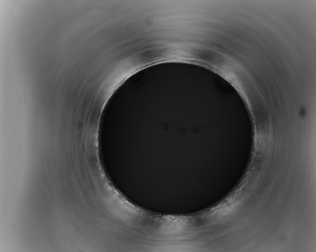 X0000089350954200706221135