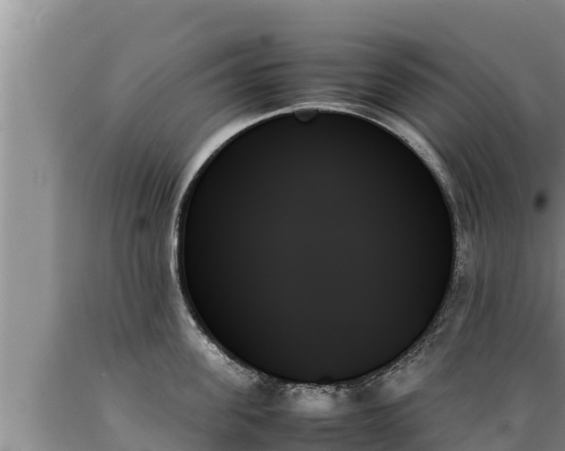 X0000089350955200706221135