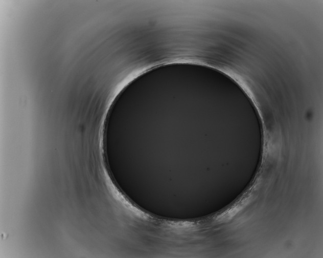 X0000089350957200706221135