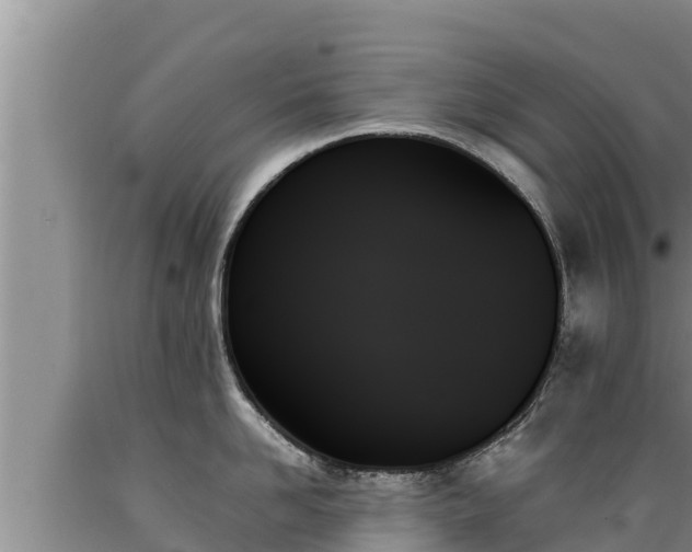X0000089350958200706221135