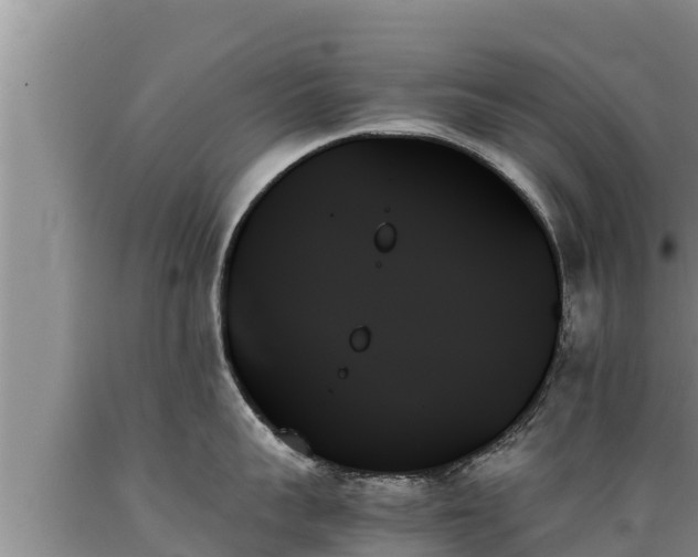 X0000089350959200706221135