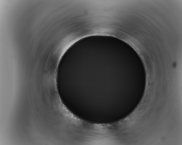 X0000089350960200706221135