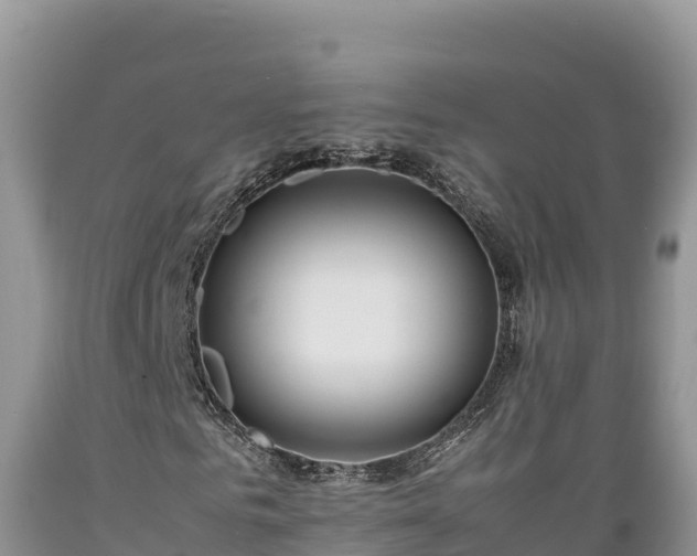 X0000089350961200706221135