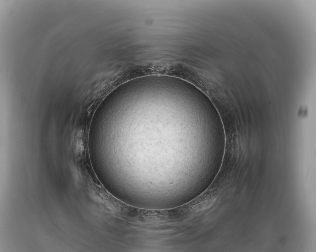 X0000089350962200706221135