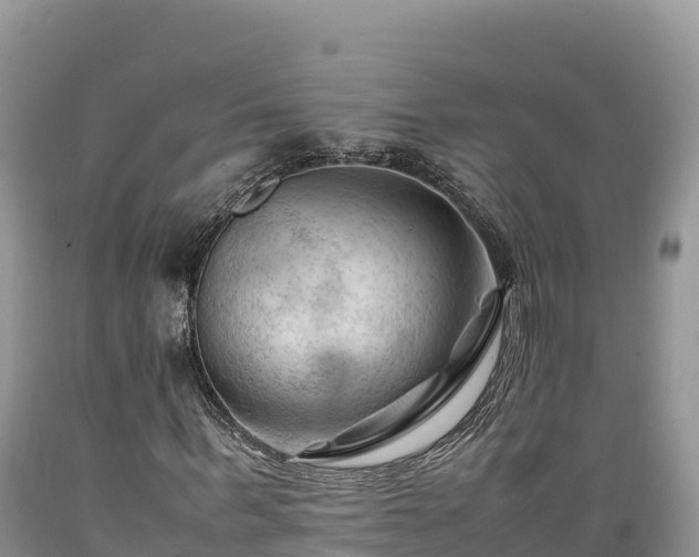 X0000089350963200706221135