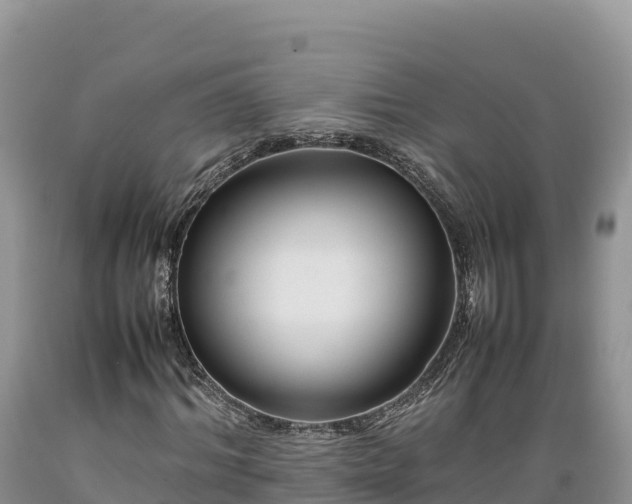 X0000089350964200706221135
