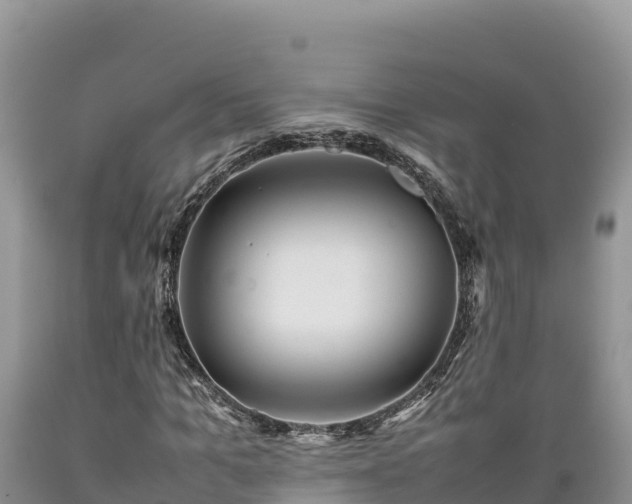 X0000089350965200706221135