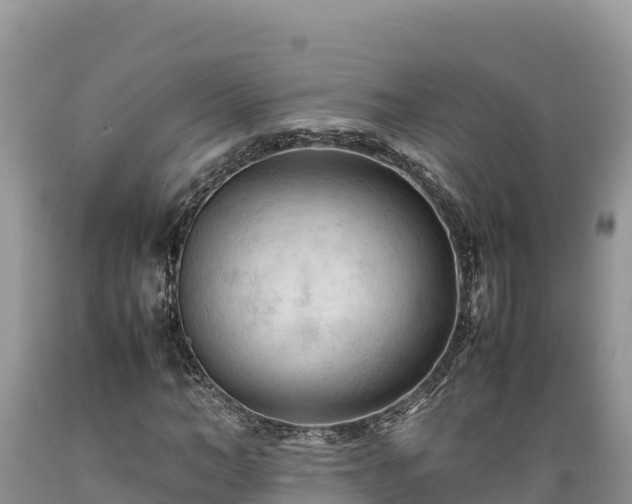 X0000089350966200706221135