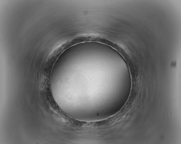 X0000089350967200706221135