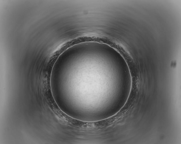 X0000089350968200706221135