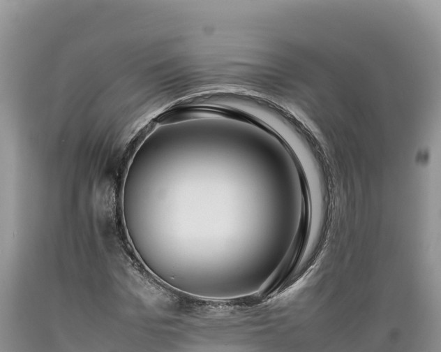 X0000089350969200706221135