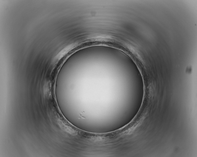 X0000089350970200706221135