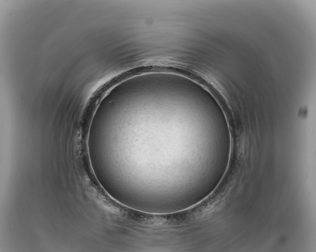 X0000089350971200706221135