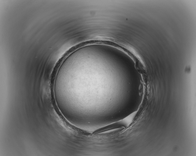 X0000089350972200706221135
