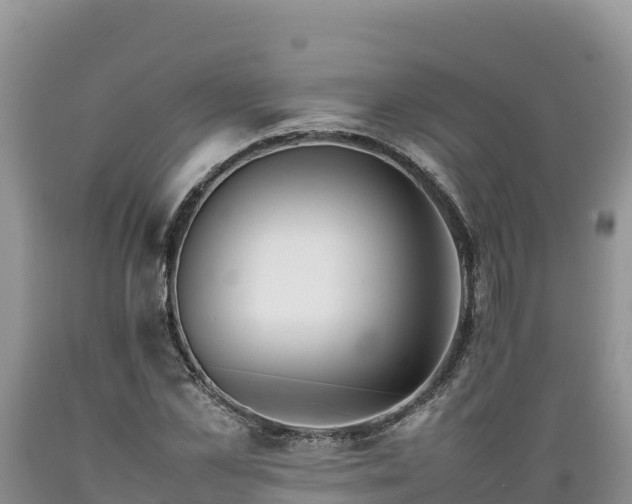 X0000089350973200706221135