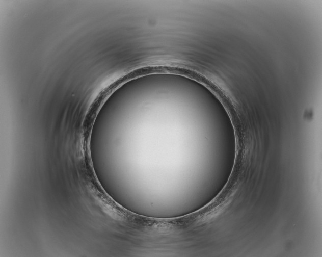 X0000089350974200706221135