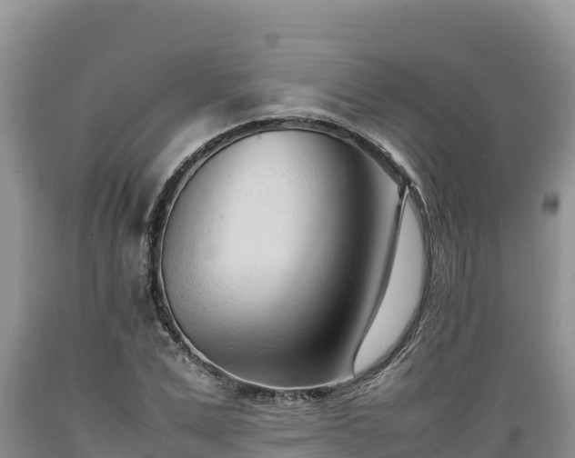 X0000089350975200706221134