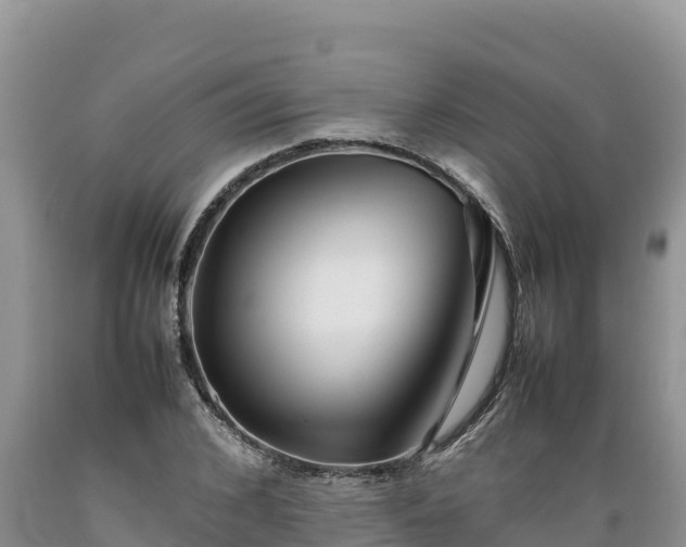 X0000089350976200706221134