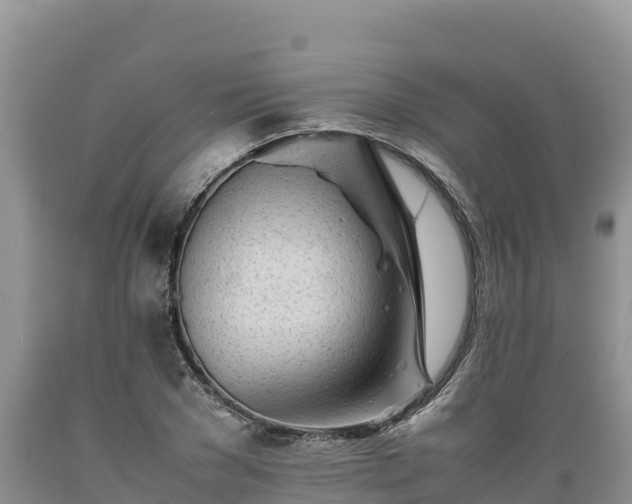 X0000089350977200706221134