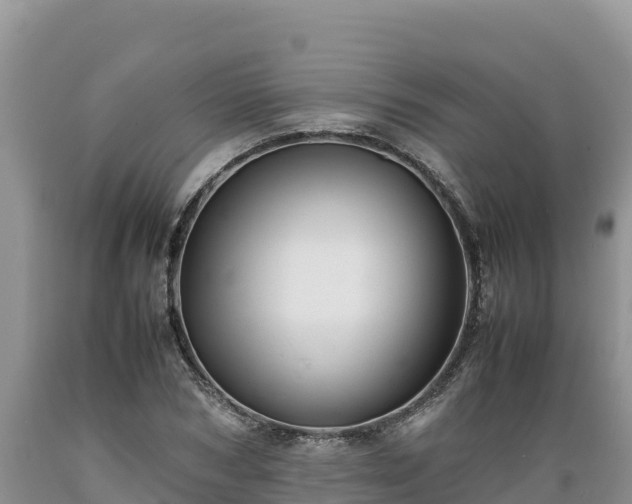 X0000089350978200706221134