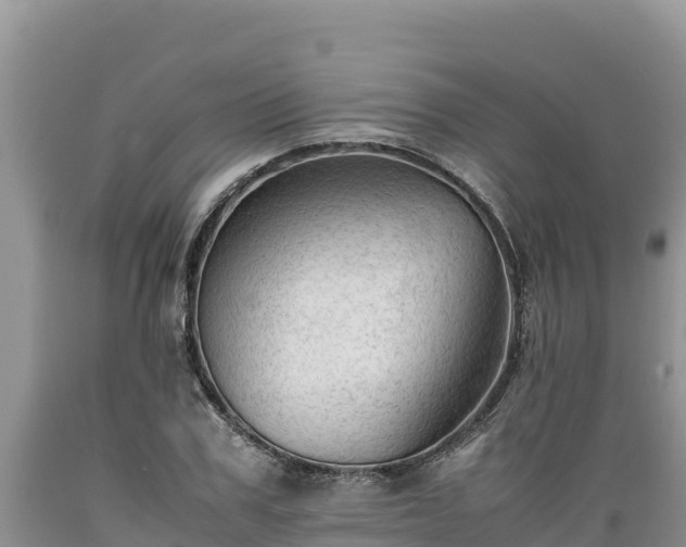 X0000089350979200706221134