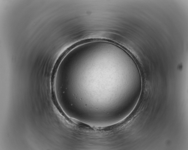 X0000089350980200706221134