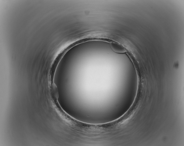 X0000089350981200706221134