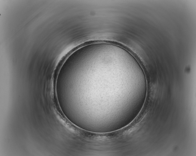X0000089350982200706221134