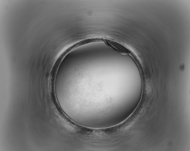 X0000089350983200706221134