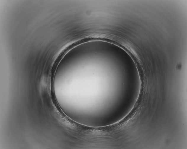 X0000089350984200706221134