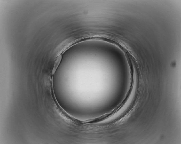 X0000089350985200706221134