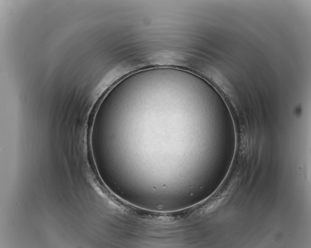 X0000089350986200706221134