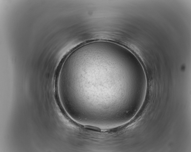 X0000089350987200706221134