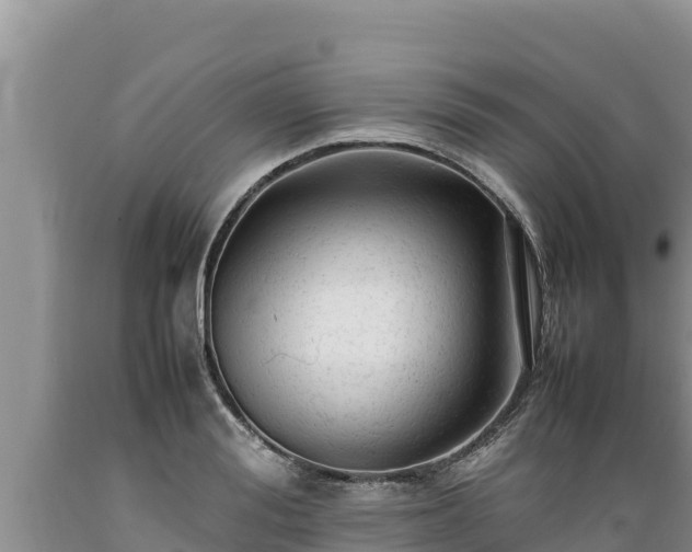 X0000089350988200706221134
