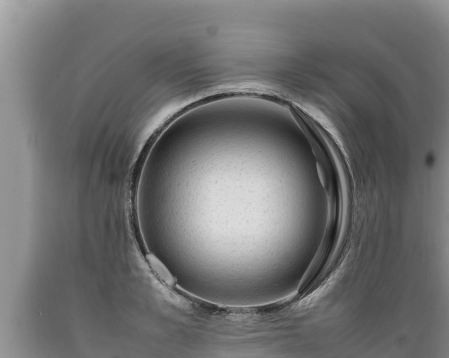 X0000089350989200706221134