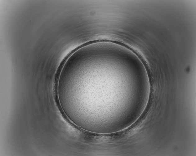 X0000089350991200706221134