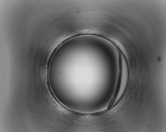 X0000089350992200706221134
