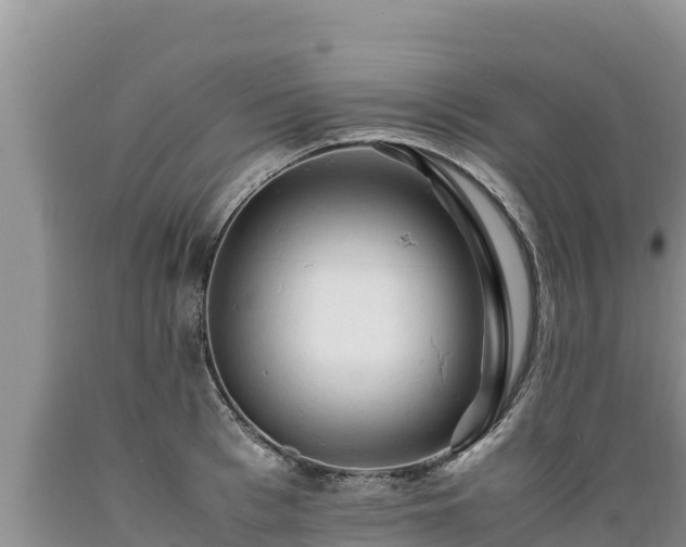 X0000089350993200706221134