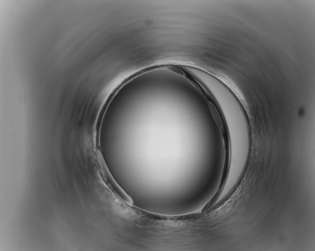 X0000089350996200706221134