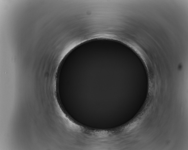 X0000089350999200706221134
