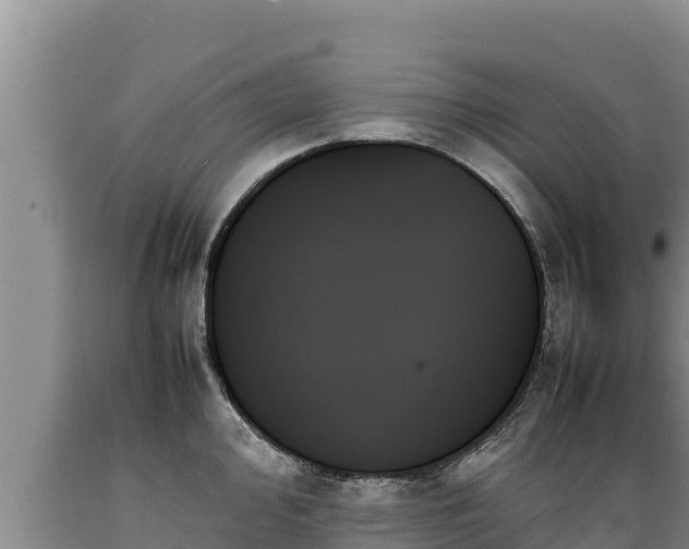 X0000089351000200706221134