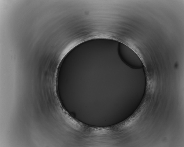 X0000089351002200706221134