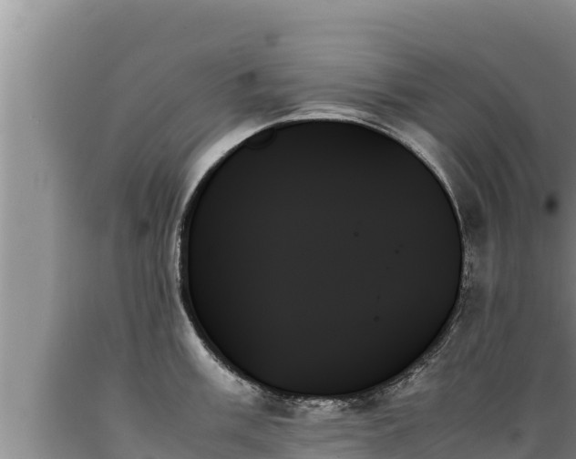 X0000089351003200706221134