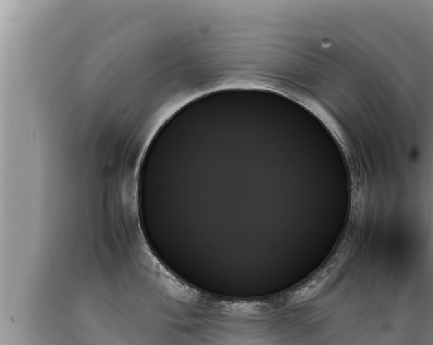 X0000089351004200706221134