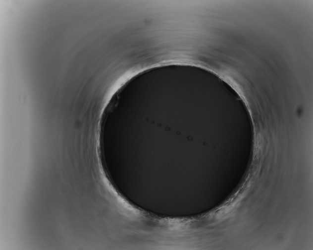 X0000089351005200706221134