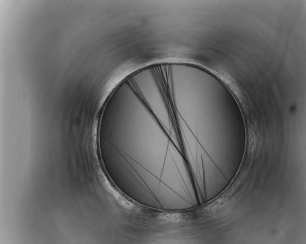 X0000089351006200706221134